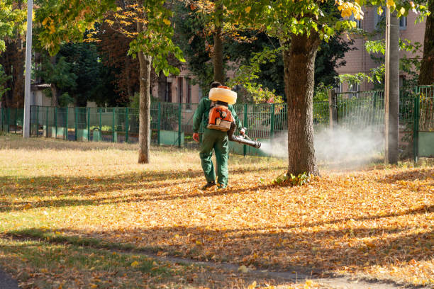 Pest Control for Restaurants in Shafer, MN