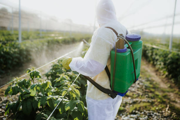 Trusted Shafer, MN Pest Control Experts